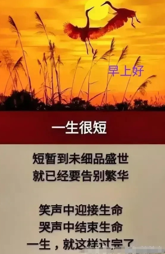 人活多久才算最好？一：40多岁走可惜，二：50来岁走稍早，三：60岁左右走有
