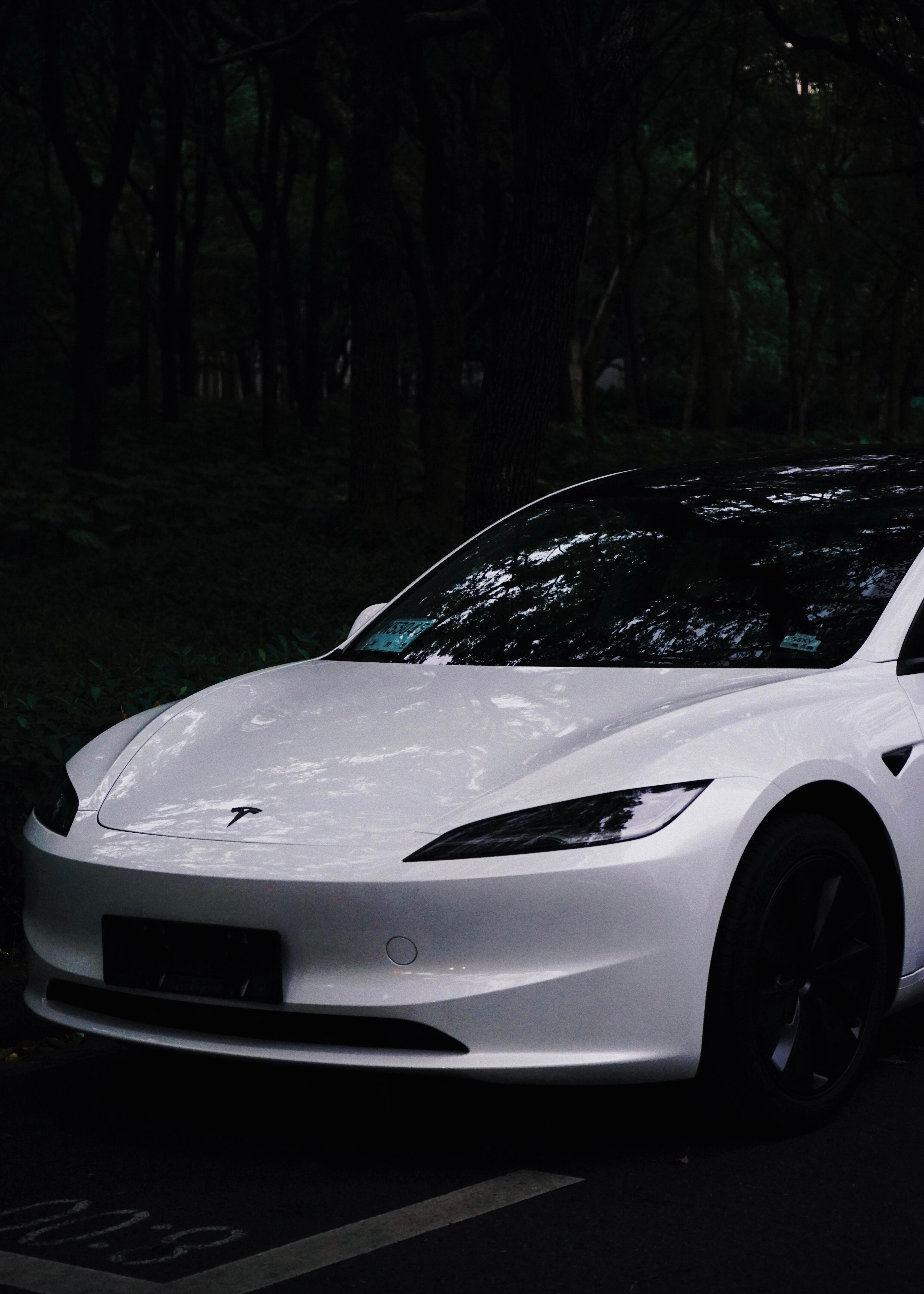 是谁提到了首批黑标焕新model3，黑标、前置摄像头以及转向拨杆。我一直觉得特斯