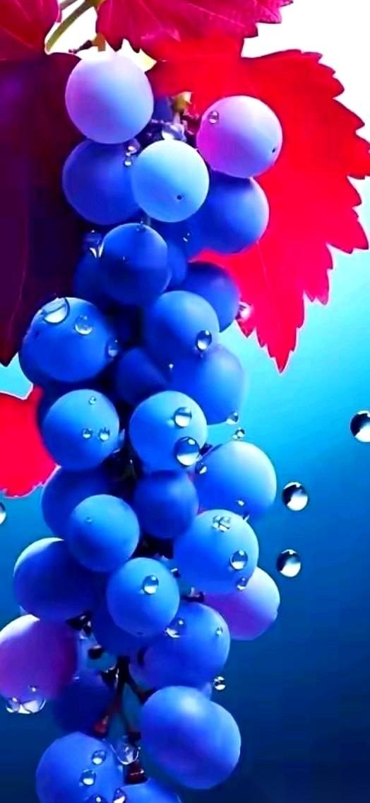 朋友家姑娘的婚礼，吹了。就因为上海一套700万的房子，房本上，加不加她的名字。