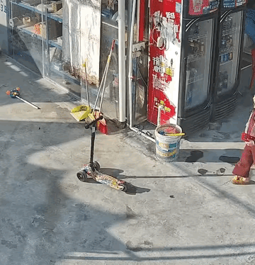 家有俩宝，天天嘻嘻闹闹，老二嘻嘻，老大闹闹