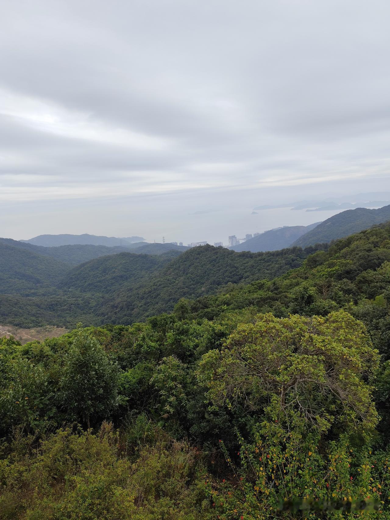 深山民间传说：熊瞎子与“屋漏”解放前，深山里的土坯房，屋顶全是稻草。一到雨