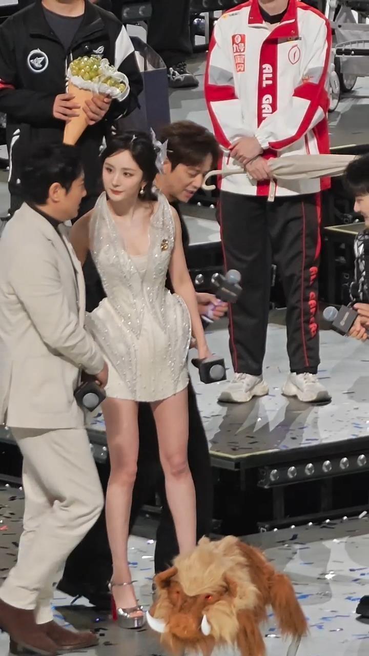 五年默契修炼手册！杨幂沈腾的