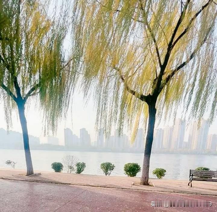 我一直不喜欢叫代驾，一是因为我不喜欢陌生人开我的车，二是我觉得，即使喝了酒叫滴滴