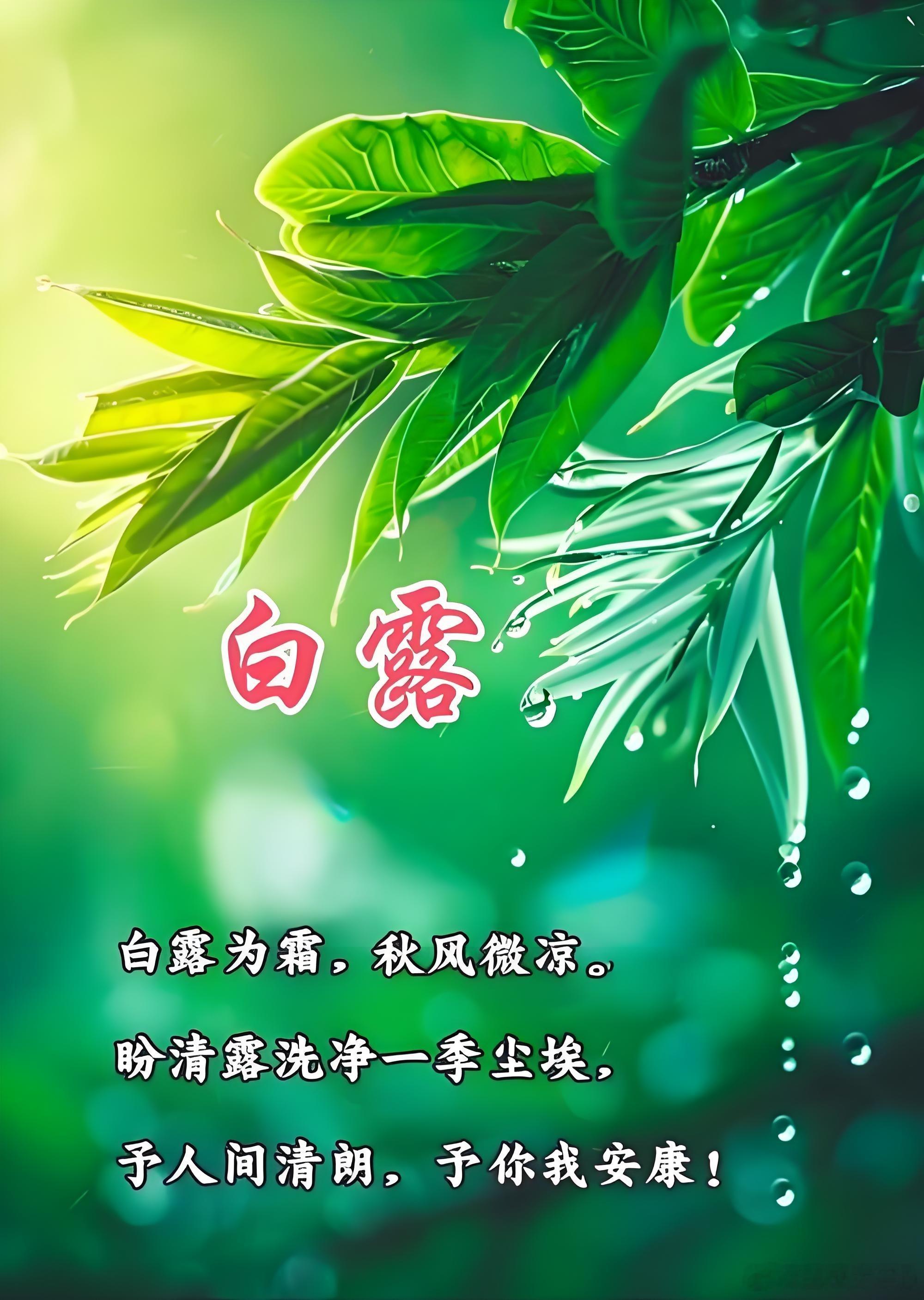 吾爱读书白露蒹葭萋萋，白露未晞。所谓伊人，在水之湄。——《诗经·秦风·蒹葭》​​​
