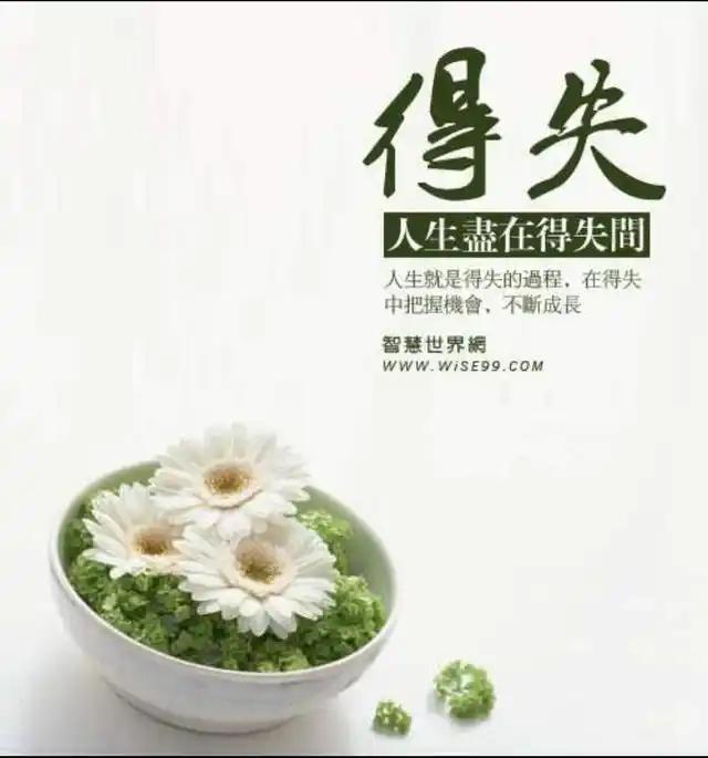 什么叫人生？你来时空空一双拳，去时不过一缕烟。人生这场旅途，说白了，