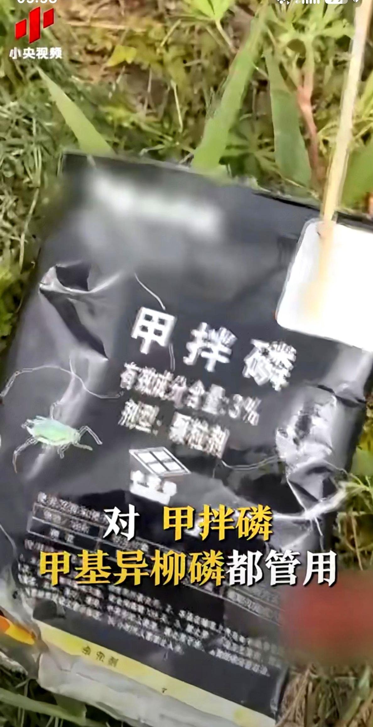 后背发凉！央视镜头怼到大爷跟前的那一刻，估计全国观众都倒吸一口凉气。记者问得干脆