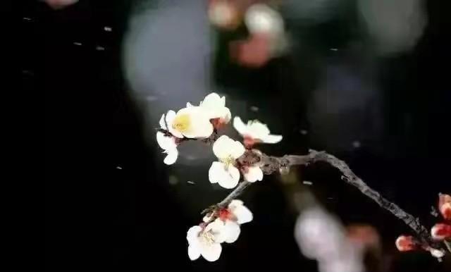 恶人最会断章取义，歪曲事实，理所当然。所以，他们眼里的他人，好都是轻易得来的，