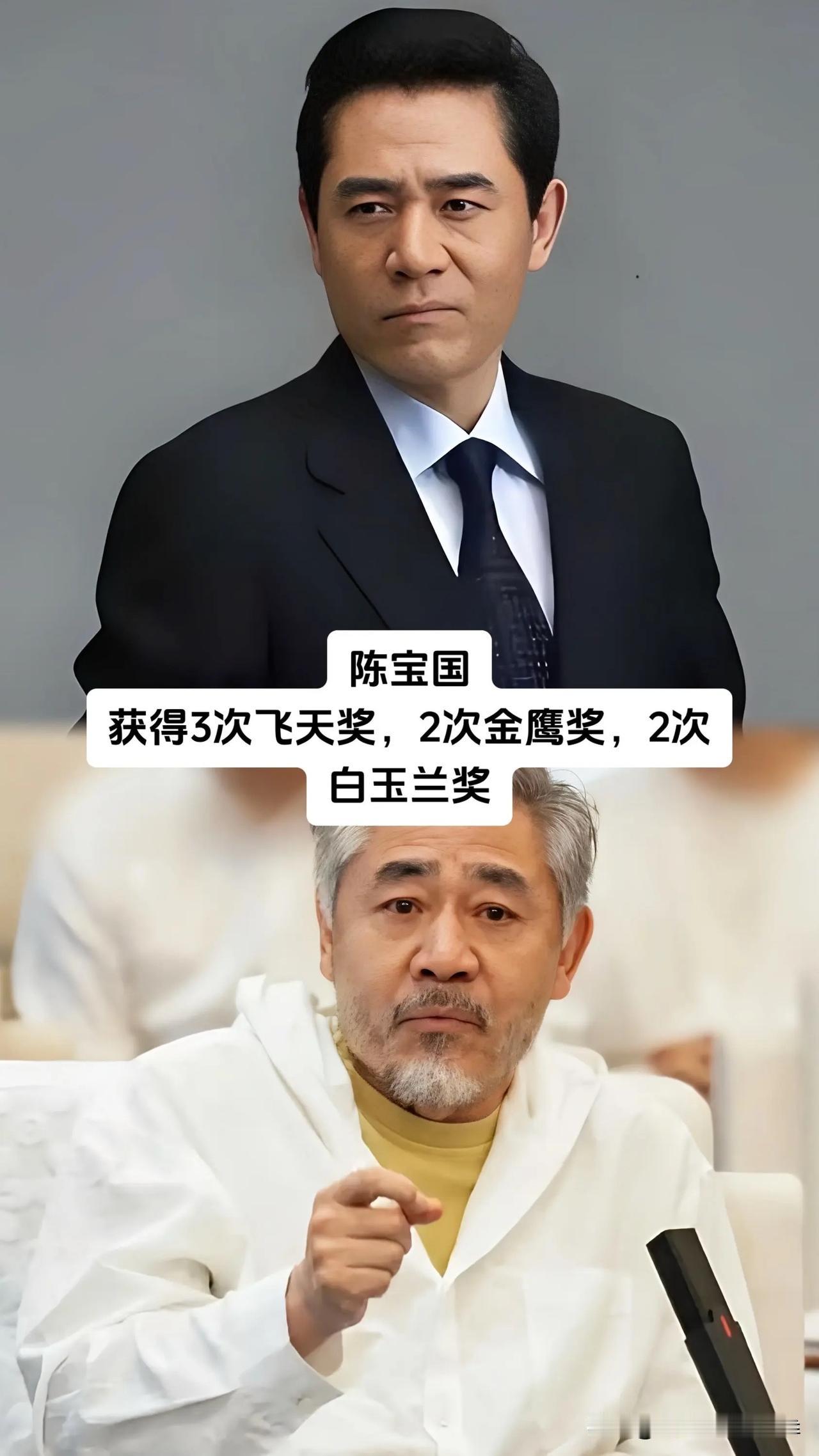 能集齐飞天、金鹰、白玉兰三大电视剧奖项，在国产演员里算得上实打实的硬荣誉。不靠炒
