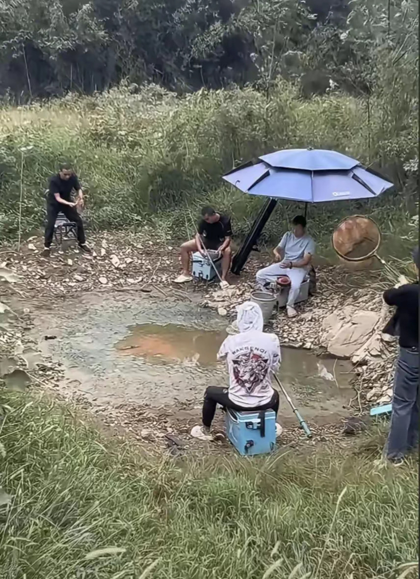 我们在广阔天地