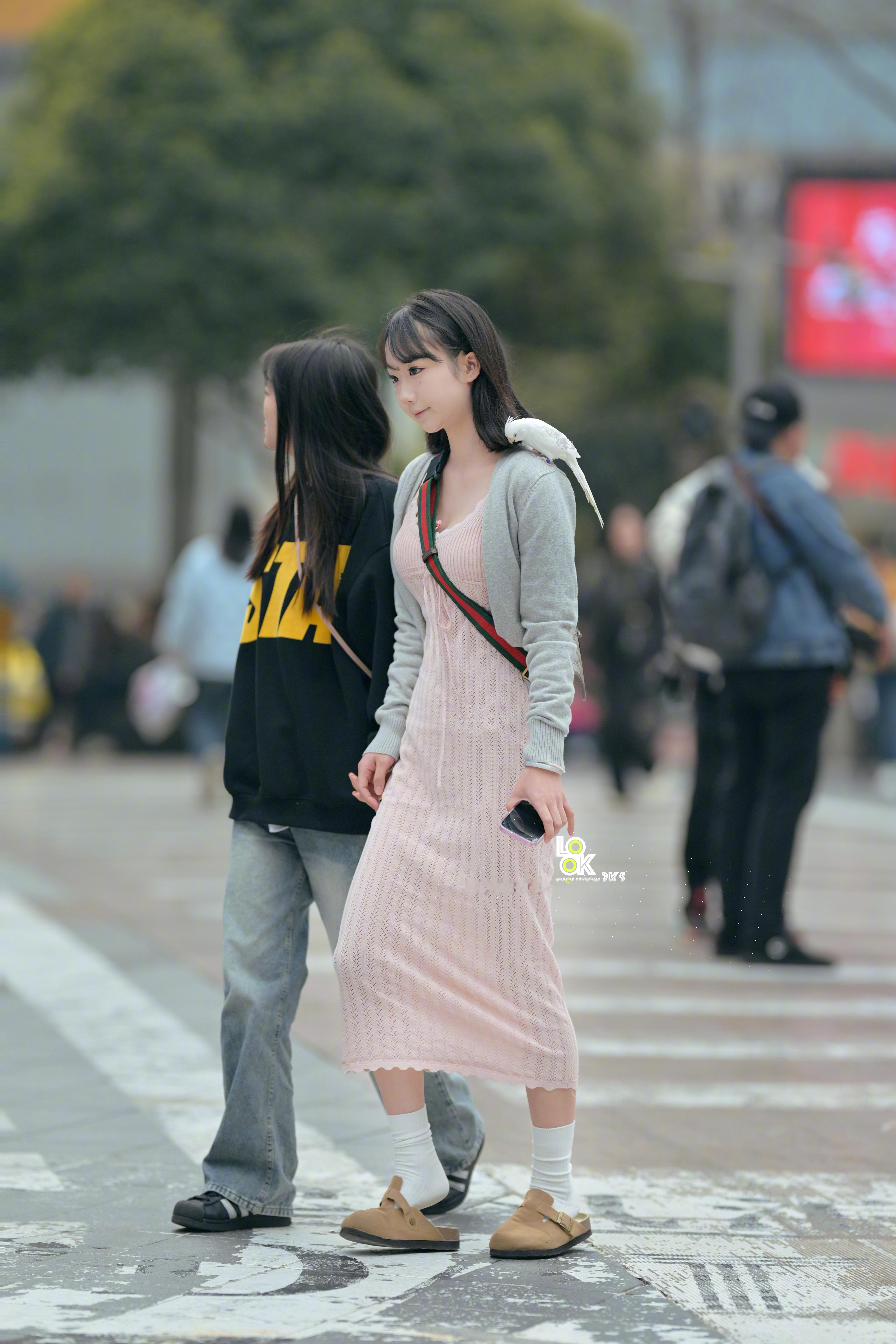 小鸟好听话啊！