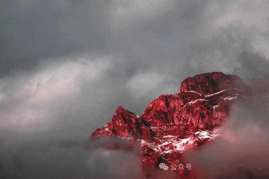 心灵的滋养，是最珍贵的情绪价值。