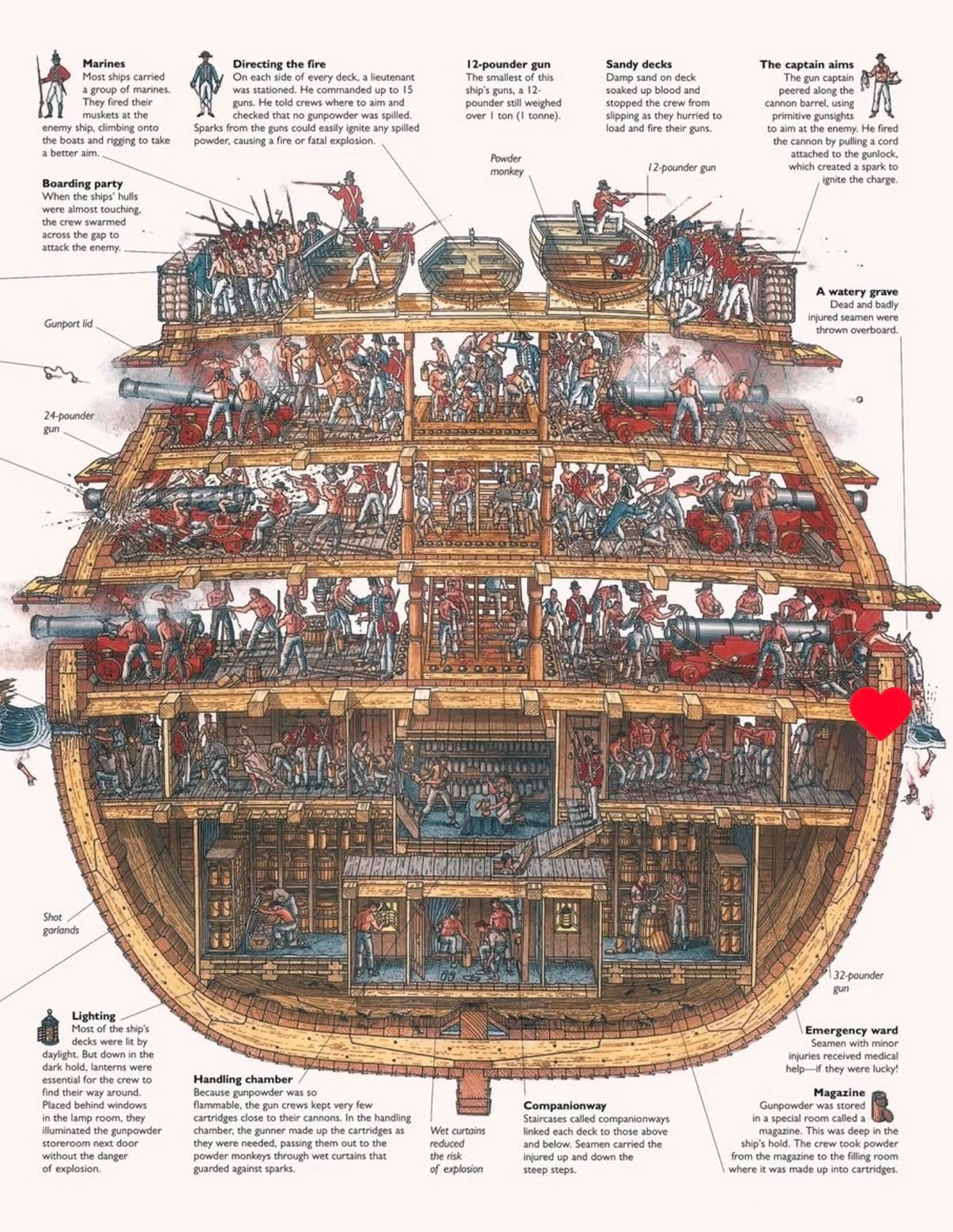 18世纪英国战舰的纵剖面图，描绘了风帆时代海战中激烈的协调。从拥挤的上层甲板到下