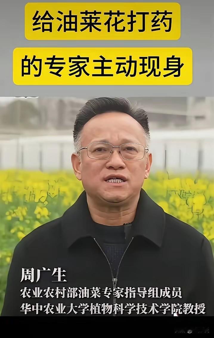 给油菜花打农药，这是第一次听说。家里从小就种了油菜花，打小就没听父辈说过要给油菜