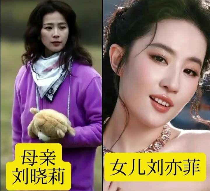 原来这些顶流小花的妈妈，个个都大有来头！🔸刘亦菲×刘晓莉：舞蹈家出身的全能护