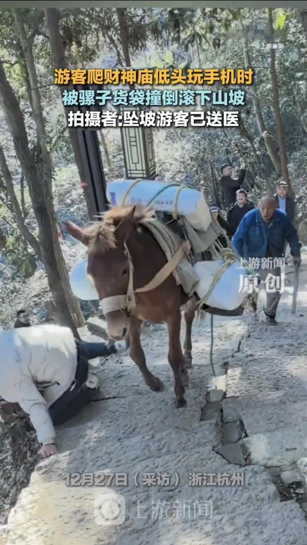 又是低头看手机惹的祸呀！昨天杭州天下第一财神庙前，一游客边爬台阶边刷手机，愣