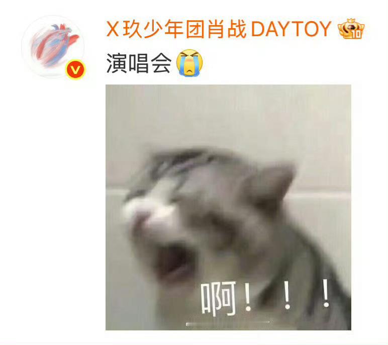 肖战孙燕姿演唱会小飞侠：上海是座巨大的肖战痛城！打卡打卡打卡……肖战：上海演唱