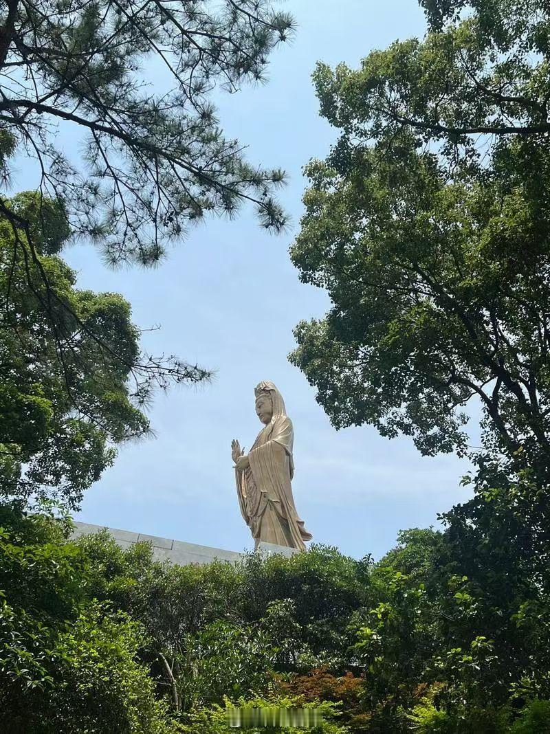 普陀山踏上海岛那一刻，“来了就好”四字涌上心头——抵达，便是与菩萨的约定。沿香