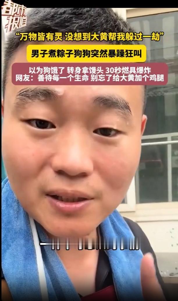 万物皆有灵！端午节刚过没几天，山东潍坊的一户农家小院里，粽子的清香还在空气里飘着