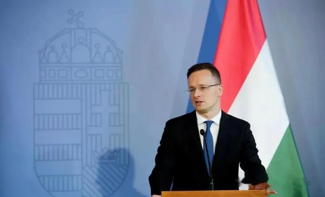 7月15日，匈牙利前外交部长西雅尔多（PeterSzijjarto）宣布辞去议