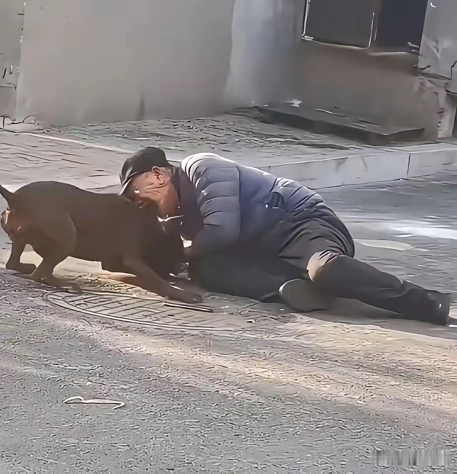 死了几条狗，被判了四年！如果狗主人给狗戴上嘴套也不至于此，具体拴没拴绳就更不好说