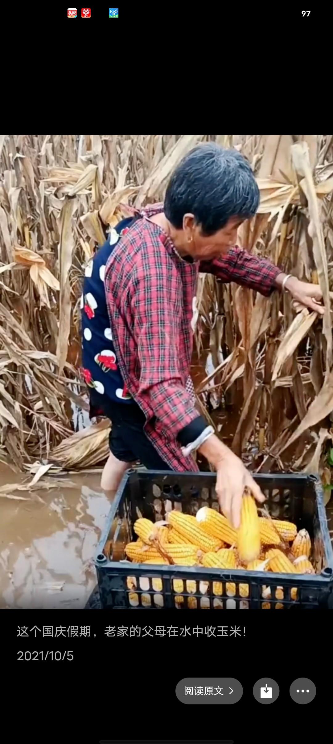 你那里的玉米多少钱一斤？淄博不到一块钱一斤，还是水分低一点的，你那里有没有今年的