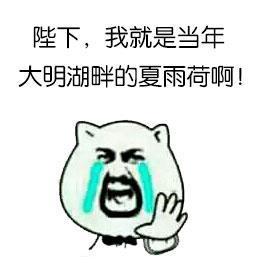 济南文旅夏雨荷事件，充分诠释了什么叫"搬起石头砸自己的脚"。也真是火出圈了。这下
