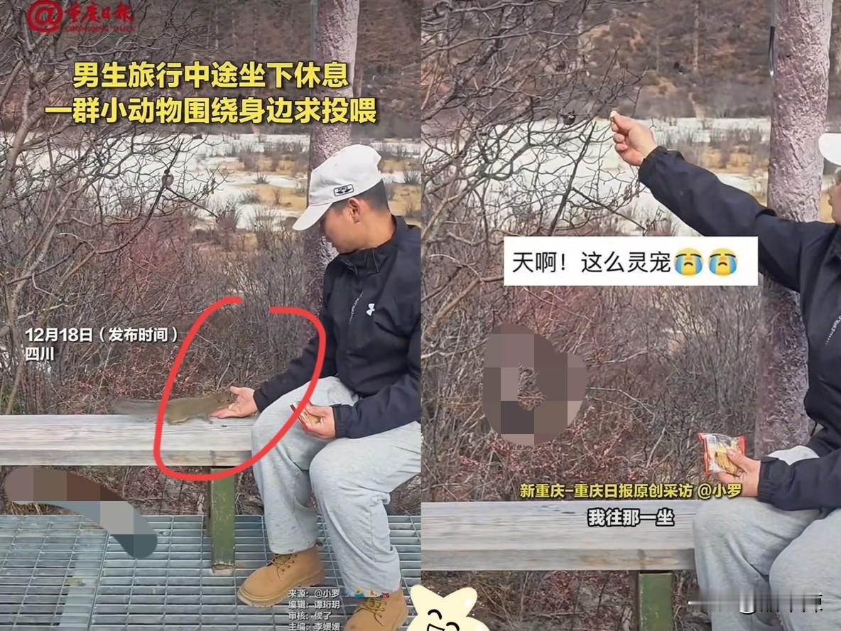 “解释不清了！”四川，一男生去稻城亚丁旅行，中途累了坐下休息，没想到，刚坐下不到