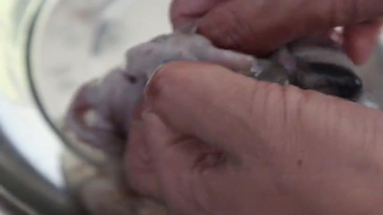 红烧八爪鱼新吃法，简单易学，年夜饭必备！你不想学学吗？