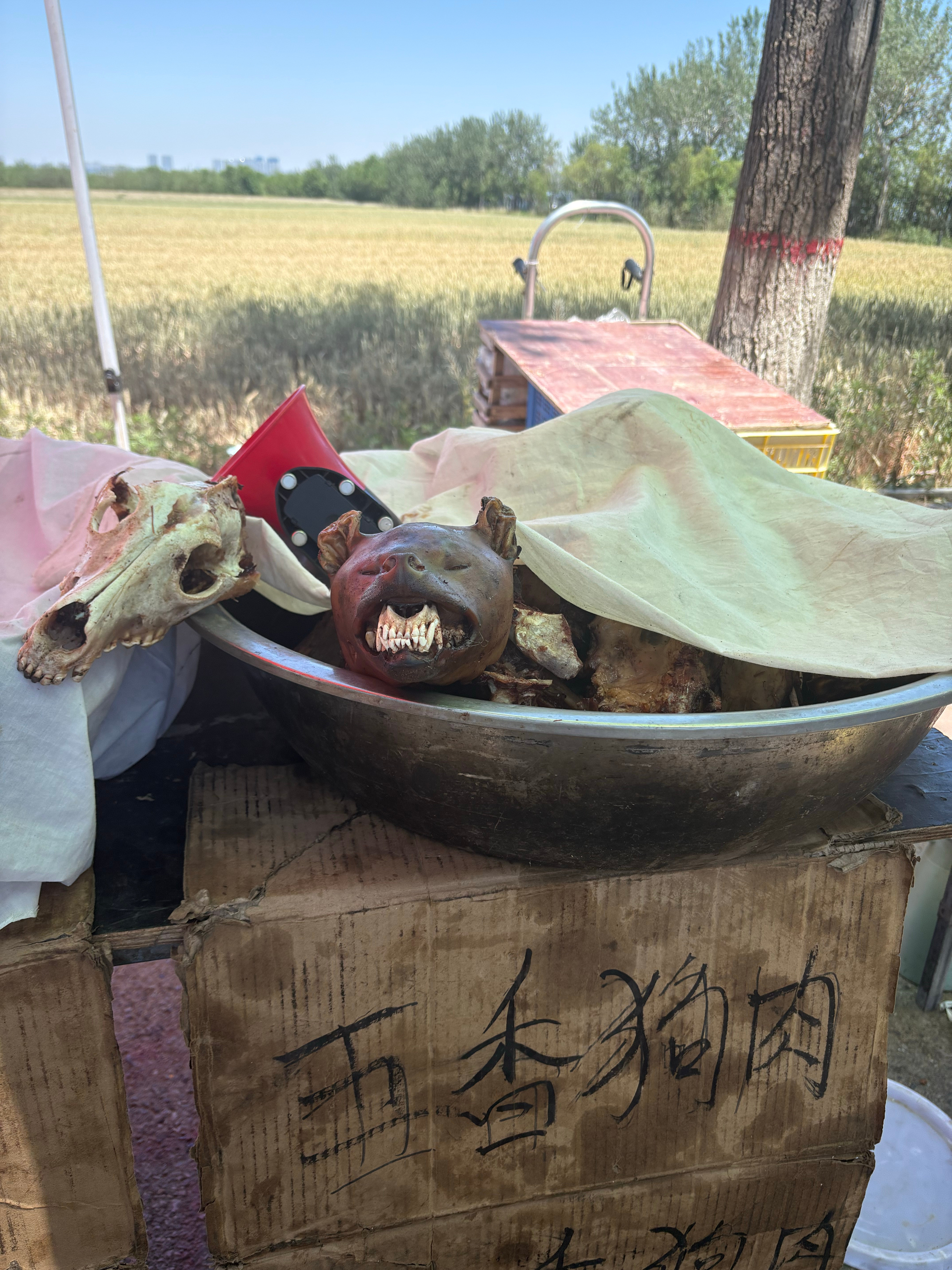谁吃过五香狗肉？味道咋样？​​​
