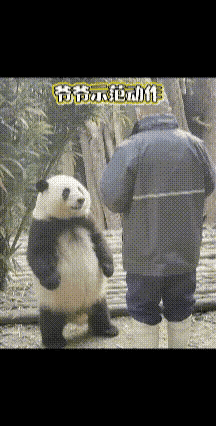 这视频是真的吗？感觉有了AI以后看什么都想假的了[捂脸哭]