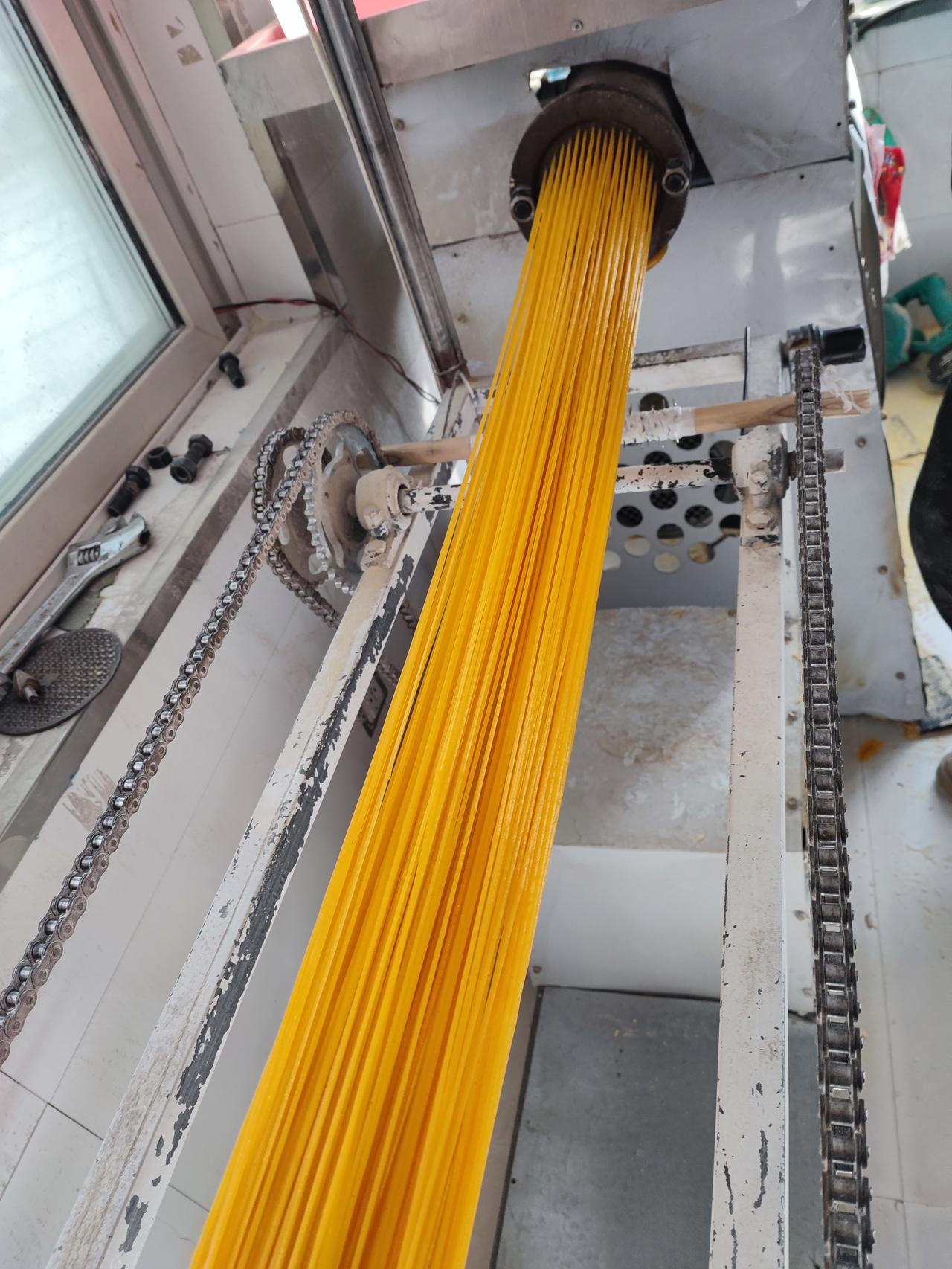 一个不经意的举动，居然有意外收获。昨天和朋友去加工苞米面条，加工厂里热闹非凡