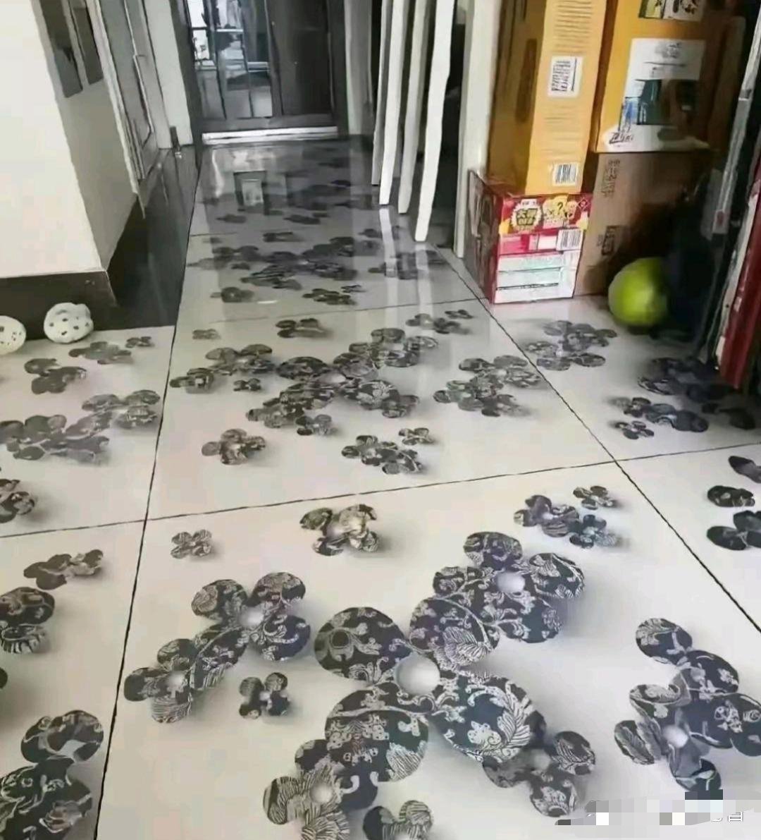 每次去婆婆家，我都有扫地的冲动。