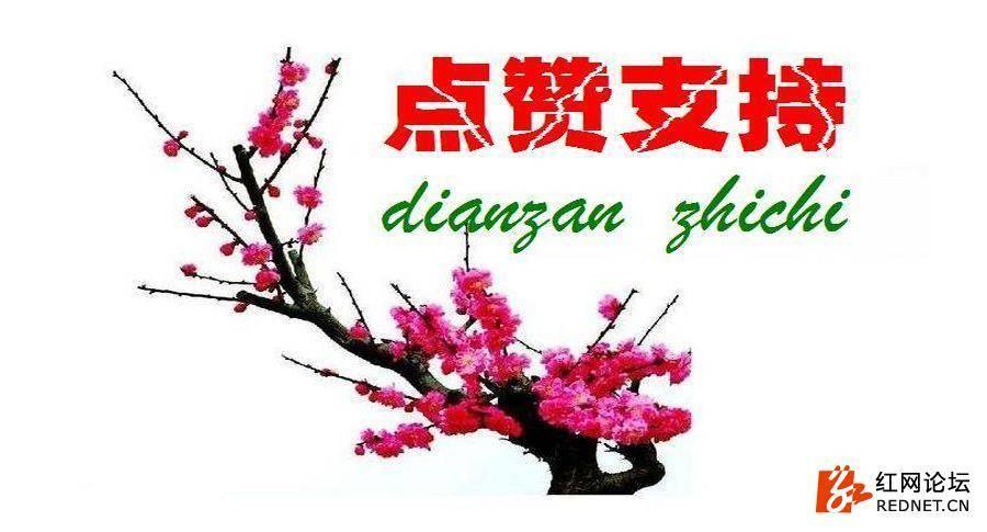 对联尽显文化传承之美