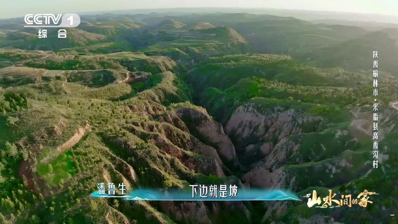 黄土高原变绿了，这简直是个奇迹！曾经它是世界上水土流失最严重的地区，“沙土漫天、