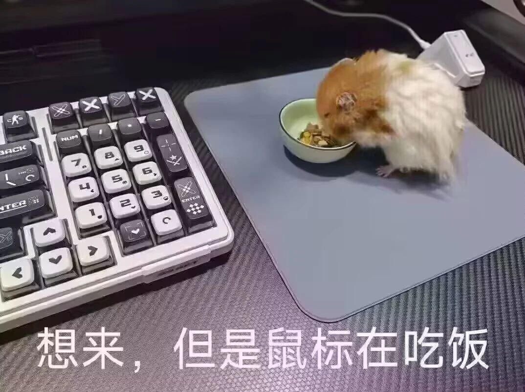 等下一定来​​​