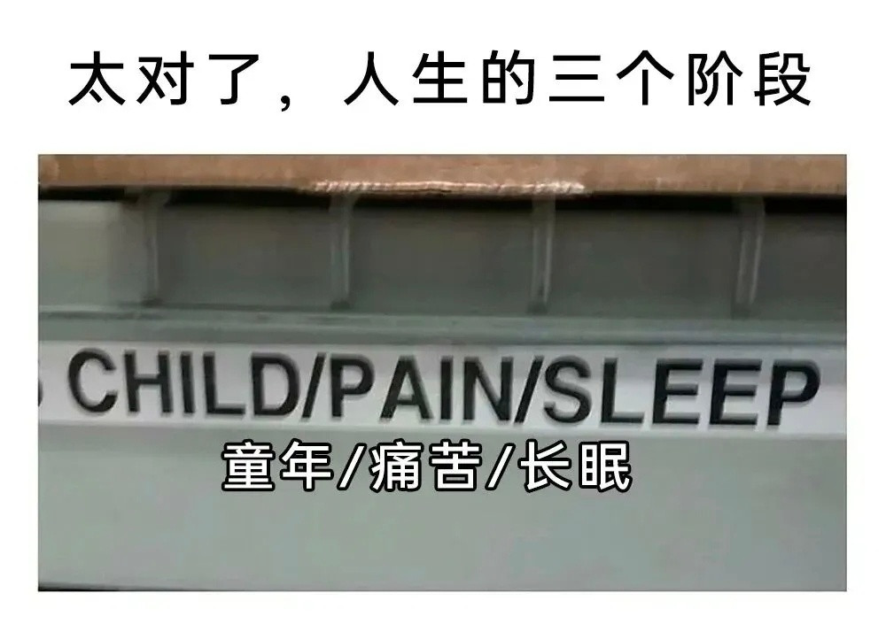 太对了meme