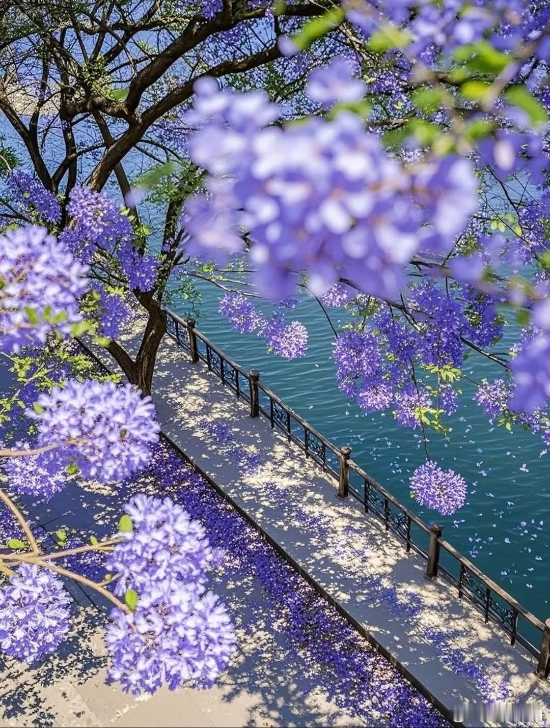 我想看看你的春天日出江花红胜火，春来江水绿如蓝