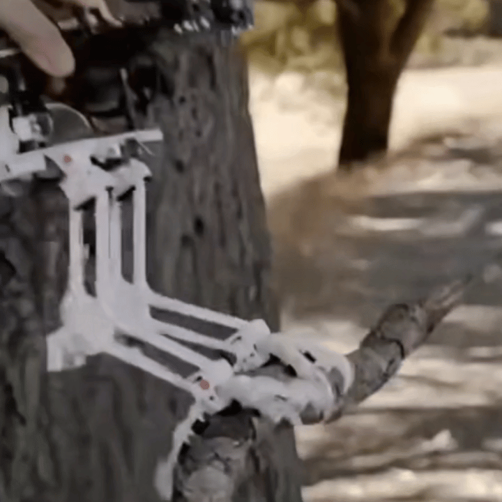 一家公司研发出一种能“埋伏”在树丛中的无人机，它像猎人一样隐蔽在枝叶间，保持静默