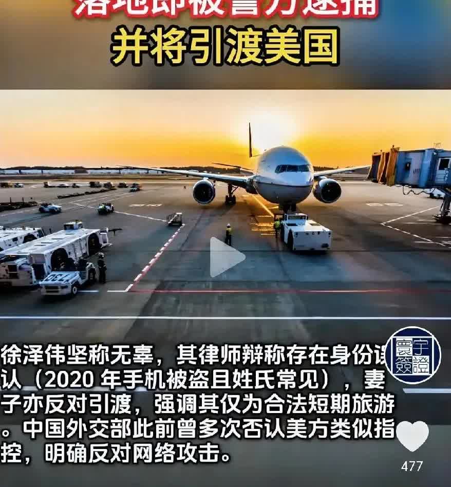 2025年7月3日，中国公民徐泽伟与其妻子于意大利米兰马尔彭萨机场被意大利警察逮