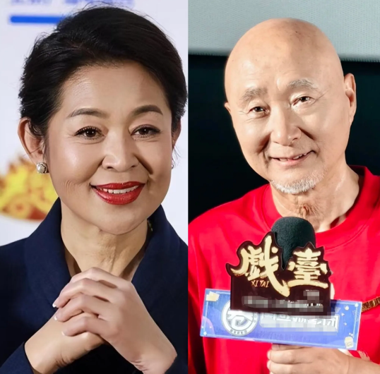 看完《戏台》终于理解了倪萍，为啥去探望陈佩斯时她要拿白菜和大葱？原因很搞笑