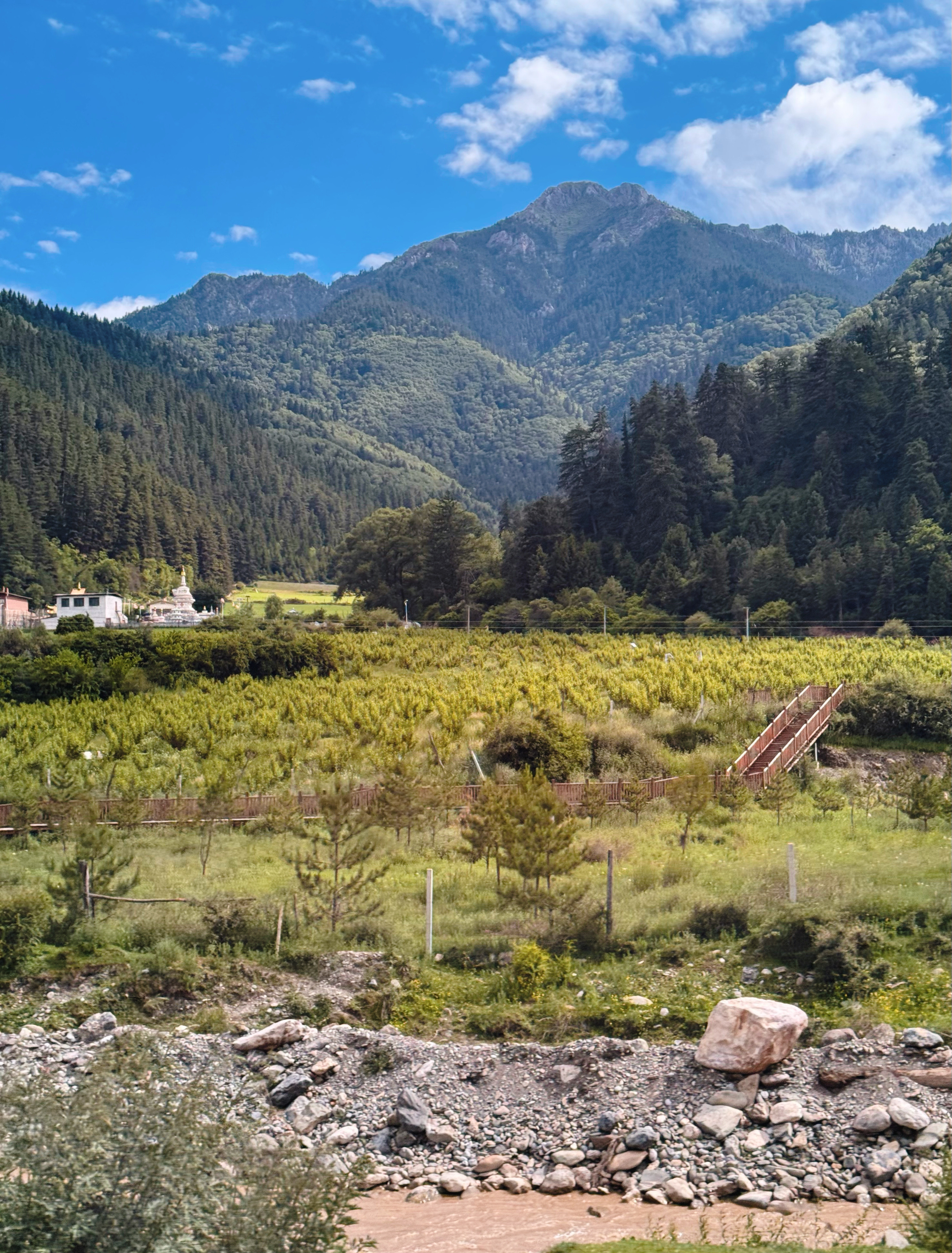 📍Switzerland🇨🇭“总要去一次瑞士叭”阿坝·若尔盖