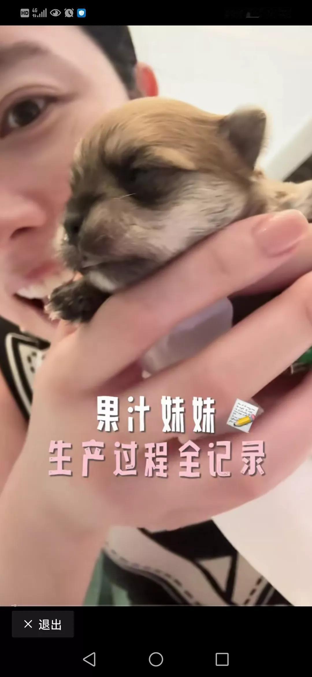 前央视主持人，晒自家狗狗的生产过程，得到了几乎一边倒的群嘲。谁能想到台上睿智的