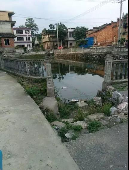 湖北鄂州，一六十六岁拿着拖把去家门口的塘边清洗，不料，水泥台阶因常年使用有些湿滑