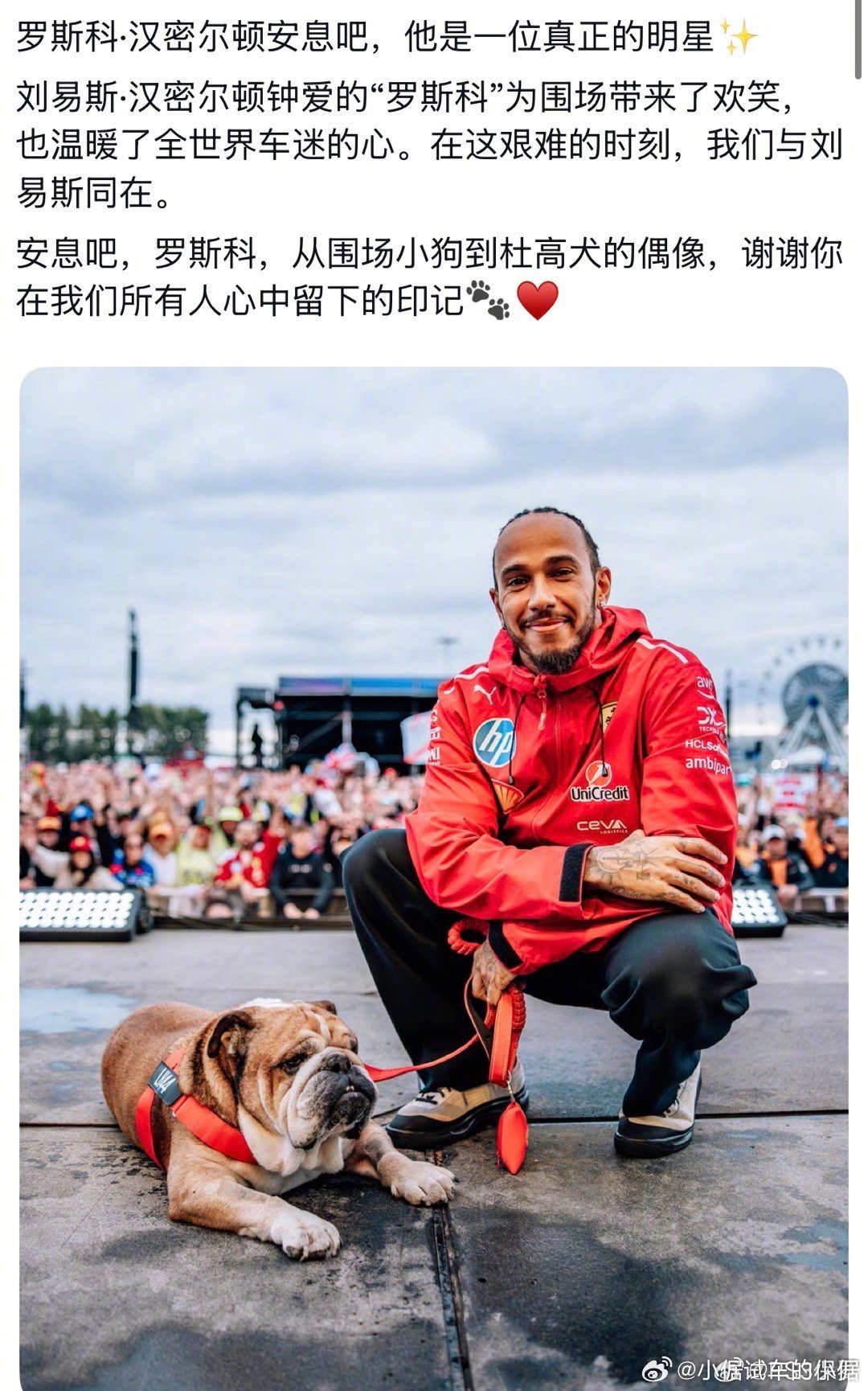 roscoe去世这个热搜底下的评论也能吵架[笑着哭]首先，狗的主人是F1顶