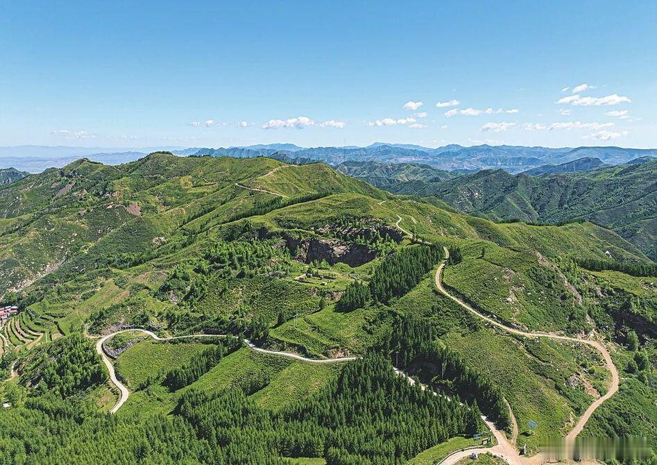 山西浑源黄芪从恒山出发踏上世界舞台千年芪乡，香飘四海。这根生长在恒山背阴