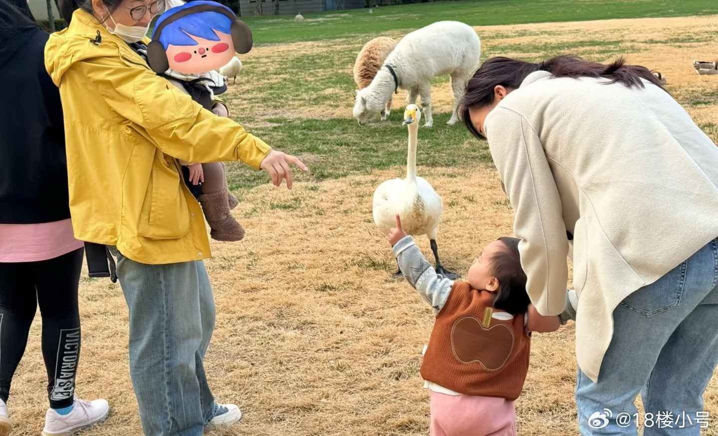 有网友今天下午在北京偶遇陈伟霆的儿子，说皮肤白到发光，眉眼像妈妈，表情像爸爸，我