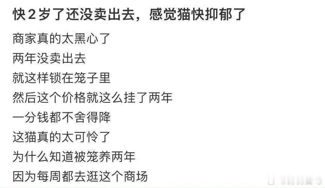快2岁了还没卖出去，感觉猫快抑郁了猪的抑郁症表现行为