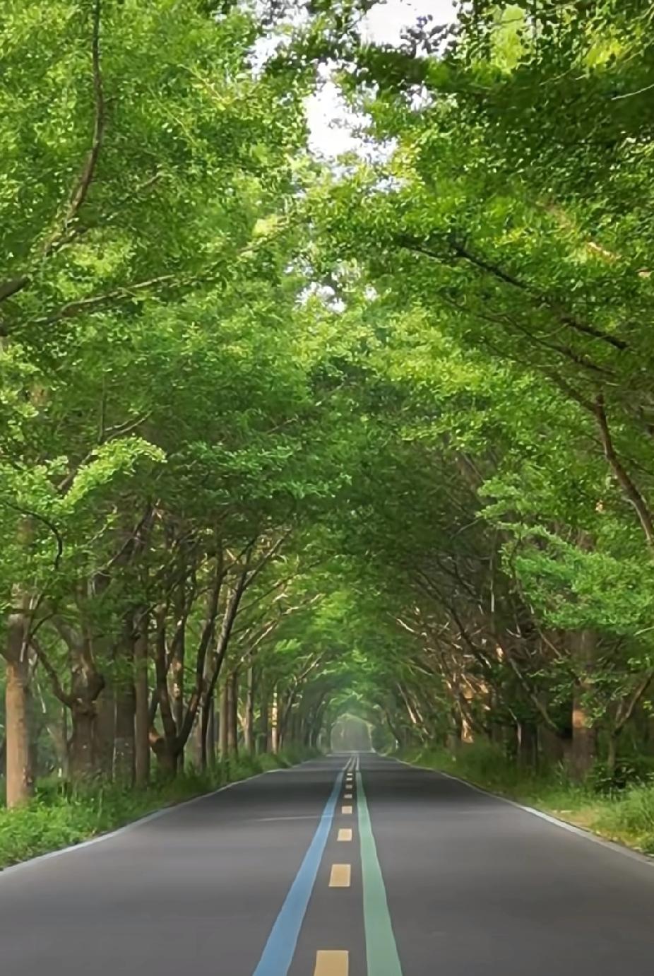 不用谦虚，能一口气拿下5公里，已经是同龄人中天花板级别的存在了。很多不跑步的朋