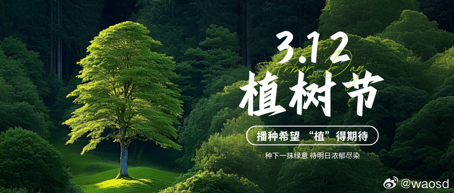 植树节|植一抹新绿，予山河长情每年的3月12日，当春风拂过大地，唤醒沉睡的土