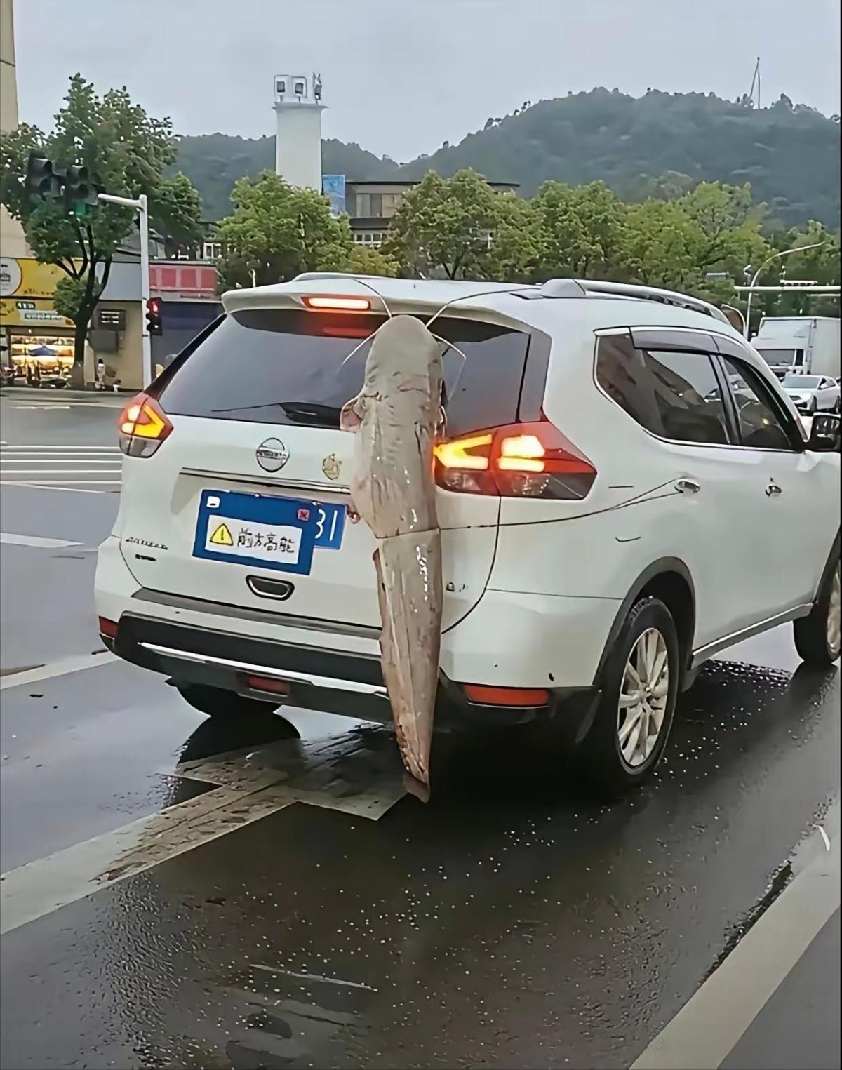这是在炫耀什么？